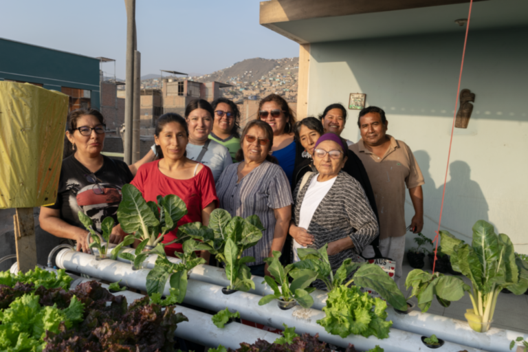 Le toit de notre maison est le lieu où nous donnons des ateliers écologiques visant la souveraineté alimentaire...